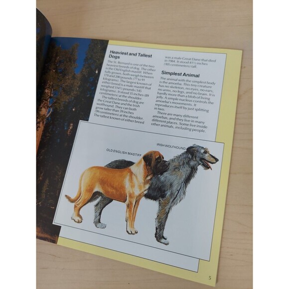 1990 Record Breakers of the Land by Rupert Matthews (Trade Paperback) Book Vtg - Picture 8 of 9